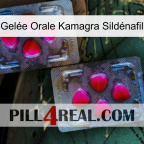 Gelée Orale Kamagra Sildénafil 15